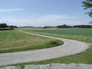 Foto: Lars T�rnqvist